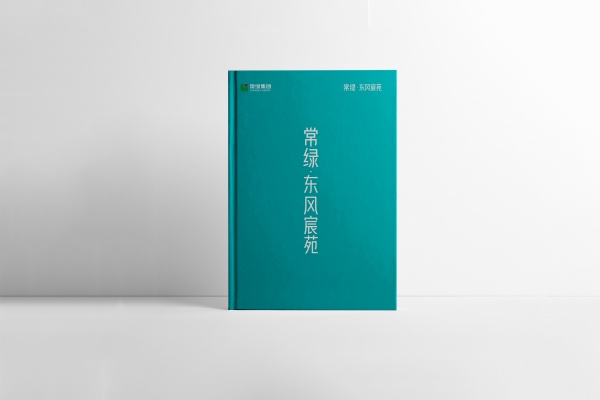 精裝畫冊